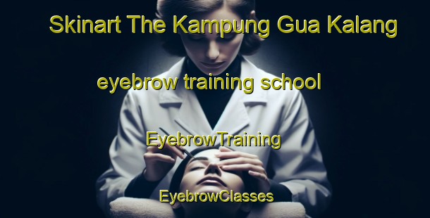Skinart The Kampung Gua Kalang eyebrow training school | EyebrowTraining | EyebrowClasses | SkinartTraining-Malaysia