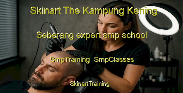 Skinart The Kampung Kening Seberang expert smp school | SmpTraining | SmpClasses | SkinartTraining-Malaysia