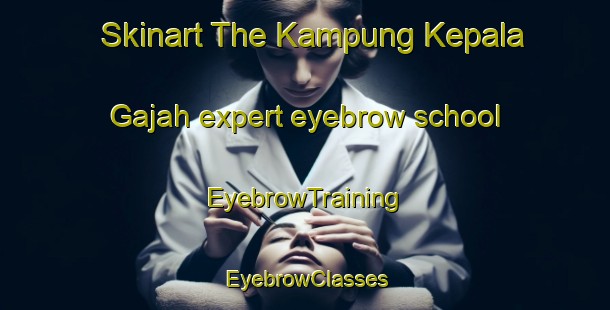 Skinart The Kampung Kepala Gajah expert eyebrow school | EyebrowTraining | EyebrowClasses | SkinartTraining-Malaysia
