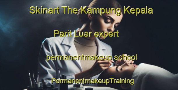 Skinart The Kampung Kepala Parit Luar expert permanentmakeup school | #PermanentmakeupTraining #PermanentmakeupClasses #SkinartTraining-Malaysia