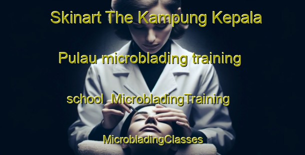 Skinart The Kampung Kepala Pulau microblading training school | #MicrobladingTraining #MicrobladingClasses #SkinartTraining-Malaysia