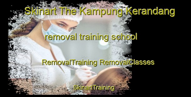 Skinart The Kampung Kerandang removal training school | #RemovalTraining #RemovalClasses #SkinartTraining-Malaysia