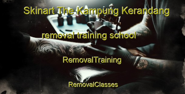 Skinart The Kampung Kerandang removal training school | RemovalTraining | RemovalClasses | SkinartTraining-Malaysia