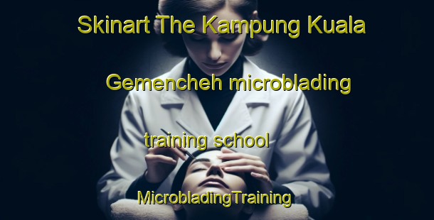 Skinart The Kampung Kuala Gemencheh microblading training school | #MicrobladingTraining #MicrobladingClasses #SkinartTraining-Malaysia