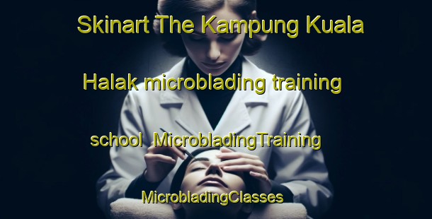 Skinart The Kampung Kuala Halak microblading training school | MicrobladingTraining | MicrobladingClasses | SkinartTraining-Malaysia