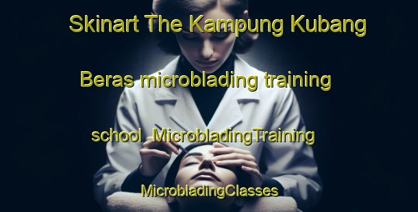 Skinart The Kampung Kubang Beras microblading training school | #MicrobladingTraining #MicrobladingClasses #SkinartTraining-Malaysia