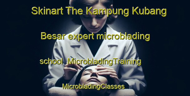 Skinart The Kampung Kubang Besar expert microblading school | MicrobladingTraining | MicrobladingClasses | SkinartTraining-Malaysia