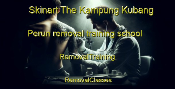 Skinart The Kampung Kubang Perun removal training school | RemovalTraining | RemovalClasses | SkinartTraining-Malaysia