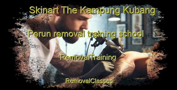 Skinart The Kampung Kubang Perun removal training school | RemovalTraining | RemovalClasses | SkinartTraining-Malaysia