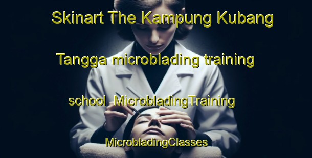 Skinart The Kampung Kubang Tangga microblading training school | #MicrobladingTraining #MicrobladingClasses #SkinartTraining-Malaysia