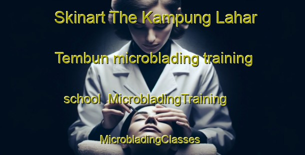 Skinart The Kampung Lahar Tembun microblading training school | MicrobladingTraining | MicrobladingClasses | SkinartTraining-Malaysia
