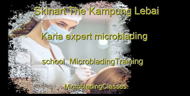 Skinart The Kampung Lebai Karia expert microblading school | #MicrobladingTraining #MicrobladingClasses #SkinartTraining-Malaysia