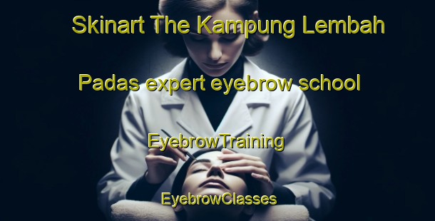 Skinart The Kampung Lembah Padas expert eyebrow school | EyebrowTraining | EyebrowClasses | SkinartTraining-Malaysia