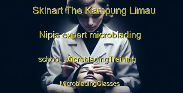 Skinart The Kampung Limau Nipis expert microblading school | MicrobladingTraining | MicrobladingClasses | SkinartTraining-Malaysia