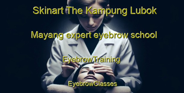 Skinart The Kampung Lubok Mayang expert eyebrow school | EyebrowTraining | EyebrowClasses | SkinartTraining-Malaysia