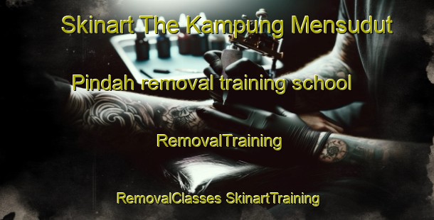 Skinart The Kampung Mensudut Pindah removal training school | #RemovalTraining #RemovalClasses #SkinartTraining-Malaysia