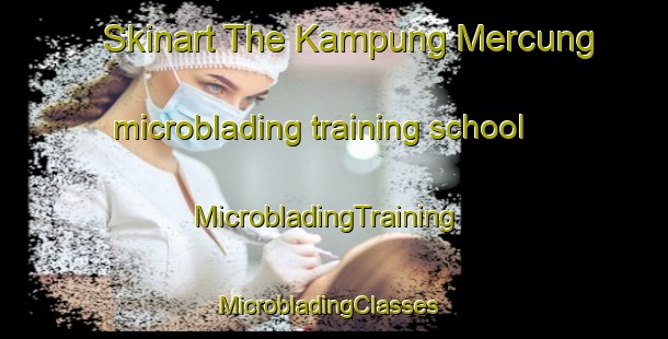 Skinart The Kampung Mercung microblading training school | MicrobladingTraining | MicrobladingClasses | SkinartTraining-Malaysia
