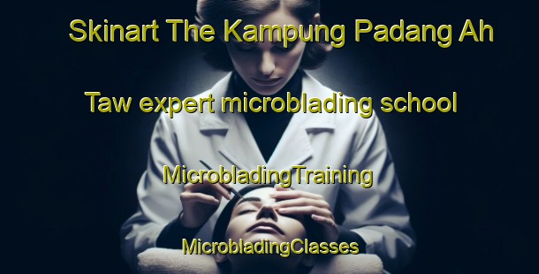 Skinart The Kampung Padang Ah Taw expert microblading school | #MicrobladingTraining #MicrobladingClasses #SkinartTraining-Malaysia