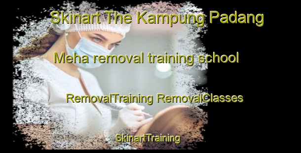 Skinart The Kampung Padang Meha removal training school | #RemovalTraining #RemovalClasses #SkinartTraining-Malaysia