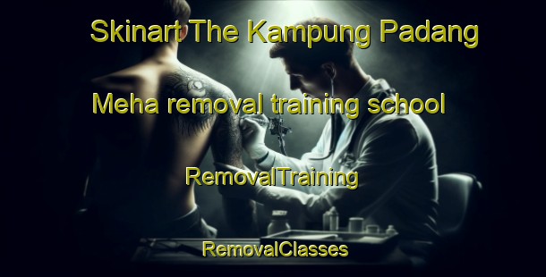 Skinart The Kampung Padang Meha removal training school | RemovalTraining | RemovalClasses | SkinartTraining-Malaysia