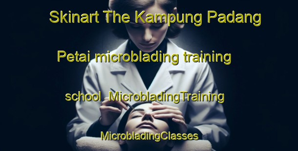 Skinart The Kampung Padang Petai microblading training school | #MicrobladingTraining #MicrobladingClasses #SkinartTraining-Malaysia