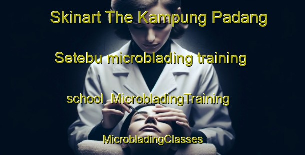 Skinart The Kampung Padang Setebu microblading training school | #MicrobladingTraining #MicrobladingClasses #SkinartTraining-Malaysia