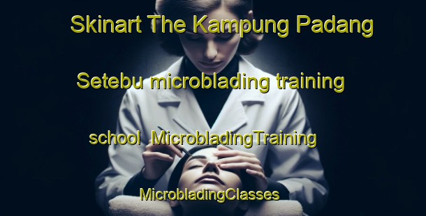 Skinart The Kampung Padang Setebu microblading training school | MicrobladingTraining | MicrobladingClasses | SkinartTraining-Malaysia