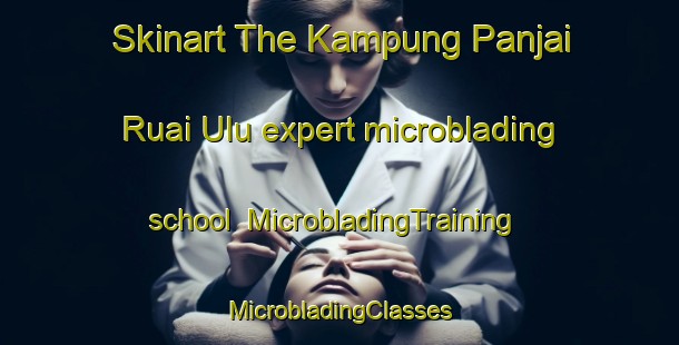 Skinart The Kampung Panjai Ruai Ulu expert microblading school | #MicrobladingTraining #MicrobladingClasses #SkinartTraining-Malaysia