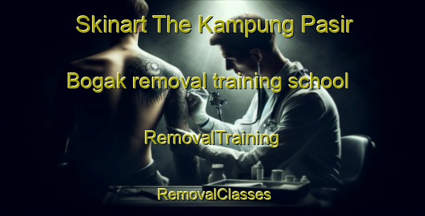 Skinart The Kampung Pasir Bogak removal training school | RemovalTraining | RemovalClasses | SkinartTraining-Malaysia