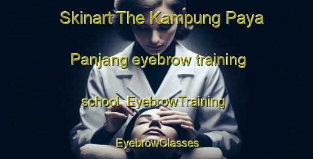 Skinart The Kampung Paya Panjang eyebrow training school | EyebrowTraining | EyebrowClasses | SkinartTraining-Malaysia