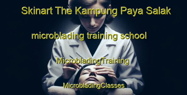 Skinart The Kampung Paya Salak microblading training school | #MicrobladingTraining #MicrobladingClasses #SkinartTraining-Malaysia