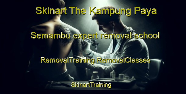 Skinart The Kampung Paya Semambu expert removal school | #RemovalTraining #RemovalClasses #SkinartTraining-Malaysia