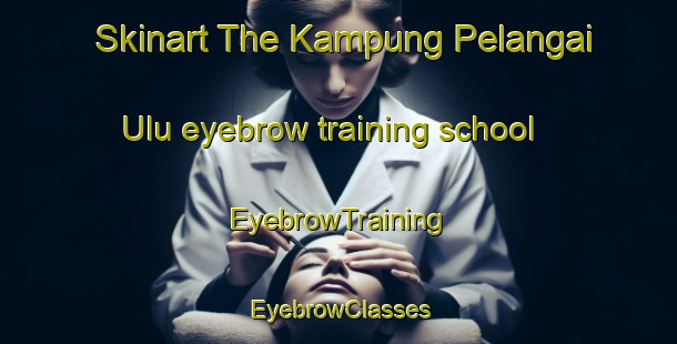 Skinart The Kampung Pelangai Ulu eyebrow training school | EyebrowTraining | EyebrowClasses | SkinartTraining-Malaysia