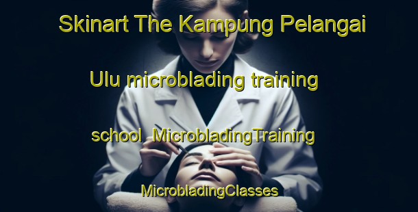 Skinart The Kampung Pelangai Ulu microblading training school | #MicrobladingTraining #MicrobladingClasses #SkinartTraining-Malaysia