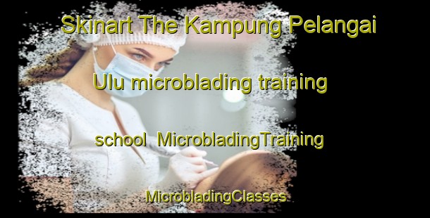 Skinart The Kampung Pelangai Ulu microblading training school | #MicrobladingTraining #MicrobladingClasses #SkinartTraining-Malaysia