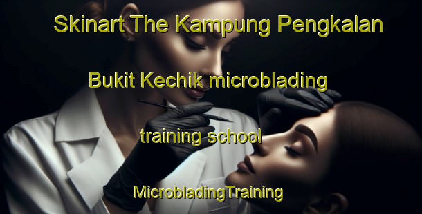 Skinart The Kampung Pengkalan Bukit Kechik microblading training school | #MicrobladingTraining #MicrobladingClasses #SkinartTraining-Malaysia