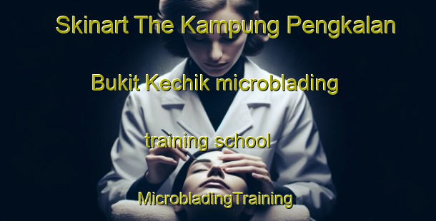 Skinart The Kampung Pengkalan Bukit Kechik microblading training school | #MicrobladingTraining #MicrobladingClasses #SkinartTraining-Malaysia