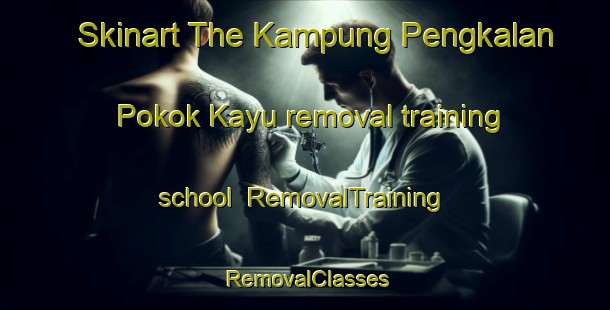 Skinart The Kampung Pengkalan Pokok Kayu removal training school | RemovalTraining | RemovalClasses | SkinartTraining-Malaysia