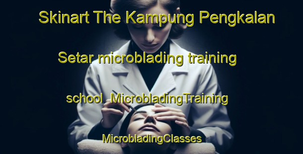 Skinart The Kampung Pengkalan Setar microblading training school | #MicrobladingTraining #MicrobladingClasses #SkinartTraining-Malaysia