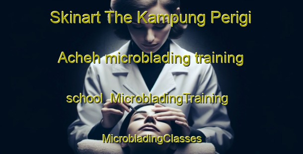 Skinart The Kampung Perigi Acheh microblading training school | #MicrobladingTraining #MicrobladingClasses #SkinartTraining-Malaysia