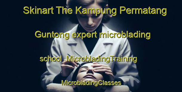 Skinart The Kampung Permatang Guntong expert microblading school | #MicrobladingTraining #MicrobladingClasses #SkinartTraining-Malaysia