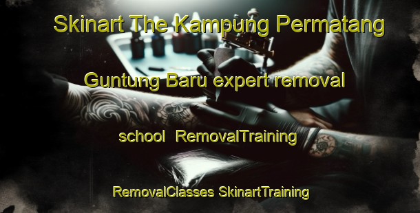 Skinart The Kampung Permatang Guntung Baru expert removal school | #RemovalTraining #RemovalClasses #SkinartTraining-Malaysia