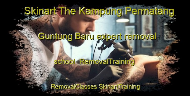 Skinart The Kampung Permatang Guntung Baru expert removal school | #RemovalTraining #RemovalClasses #SkinartTraining-Malaysia