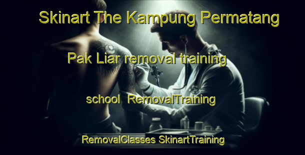 Skinart The Kampung Permatang Pak Liar removal training school | #RemovalTraining #RemovalClasses #SkinartTraining-Malaysia