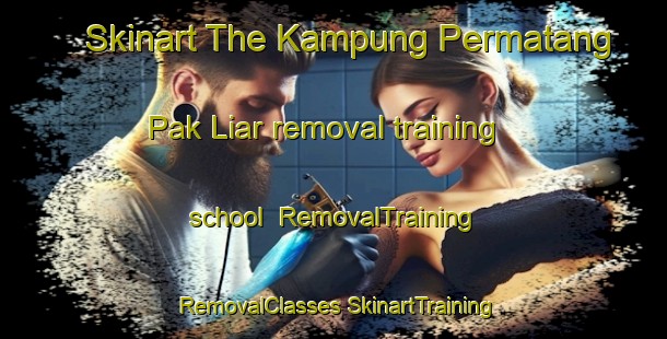 Skinart The Kampung Permatang Pak Liar removal training school | #RemovalTraining #RemovalClasses #SkinartTraining-Malaysia