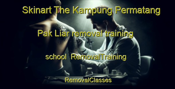 Skinart The Kampung Permatang Pak Liar removal training school | RemovalTraining | RemovalClasses | SkinartTraining-Malaysia