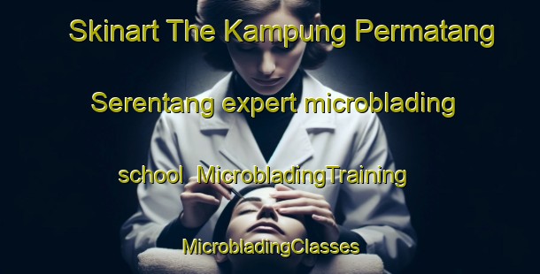 Skinart The Kampung Permatang Serentang expert microblading school | #MicrobladingTraining #MicrobladingClasses #SkinartTraining-Malaysia