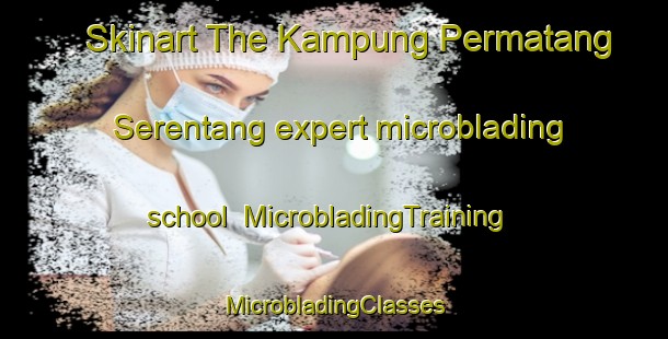 Skinart The Kampung Permatang Serentang expert microblading school | #MicrobladingTraining #MicrobladingClasses #SkinartTraining-Malaysia