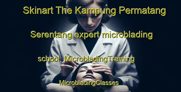 Skinart The Kampung Permatang Serentang expert microblading school | MicrobladingTraining | MicrobladingClasses | SkinartTraining-Malaysia