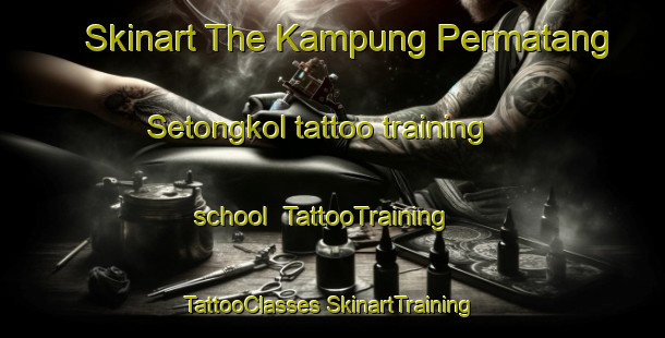 Skinart The Kampung Permatang Setongkol tattoo training school | #TattooTraining #TattooClasses #SkinartTraining-Malaysia